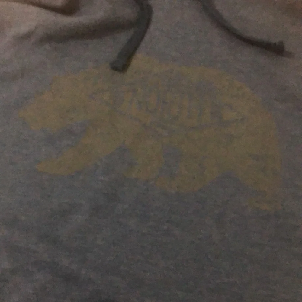 The North Face blue pullover sweatshirt with bear